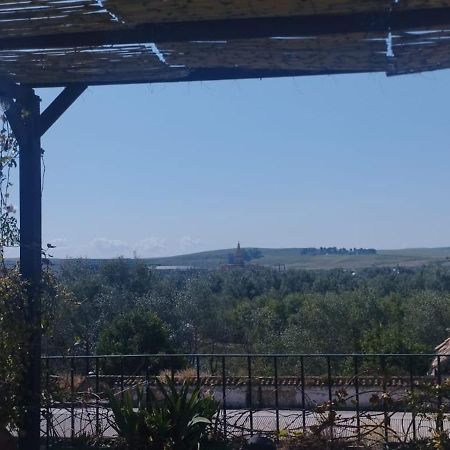 My Small Penthouse With Views.Tourism & Tranquility & Sun Appartement Córdoba Buitenkant foto
