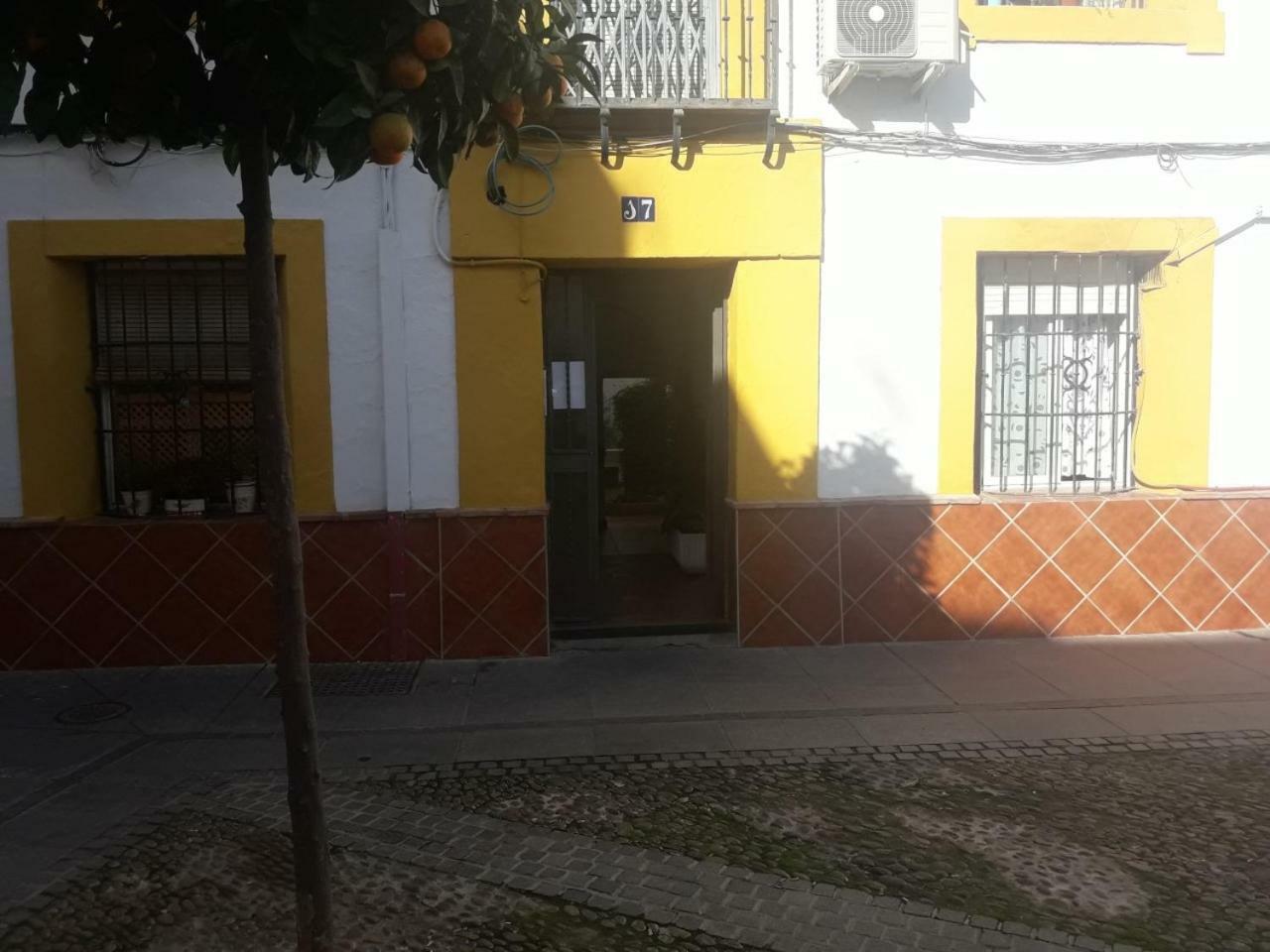 My Small Penthouse With Views.Tourism & Tranquility & Sun Appartement Córdoba Buitenkant foto